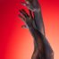 Lange schwarze elastische transparente Handschuhe Collanteria Manilla